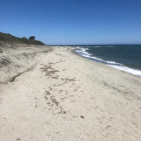 Bravone Linguizzetta