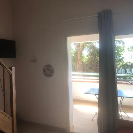 Bravone Linguizzetta