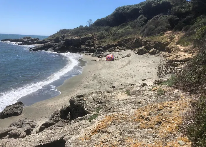 Bravone Appartement Linguizzetta