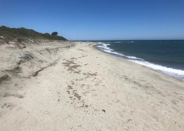 Bravone Linguizzetta